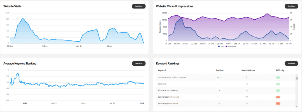Screenshot of DIY SEO Platform, 7 of the Best Tools for Monitoring Your Website SEO Analytics
